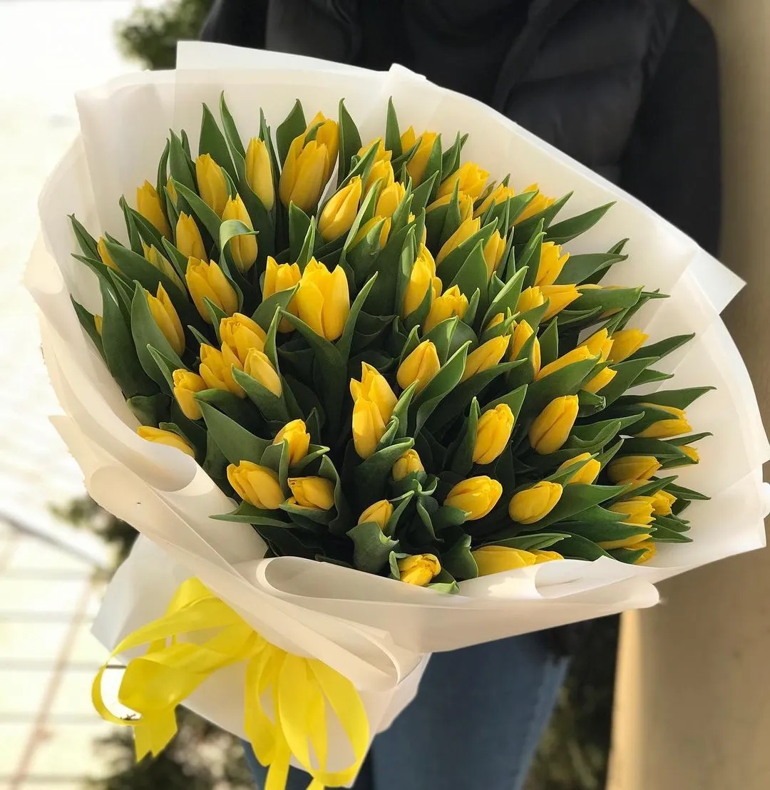 Жовтий тюльпан