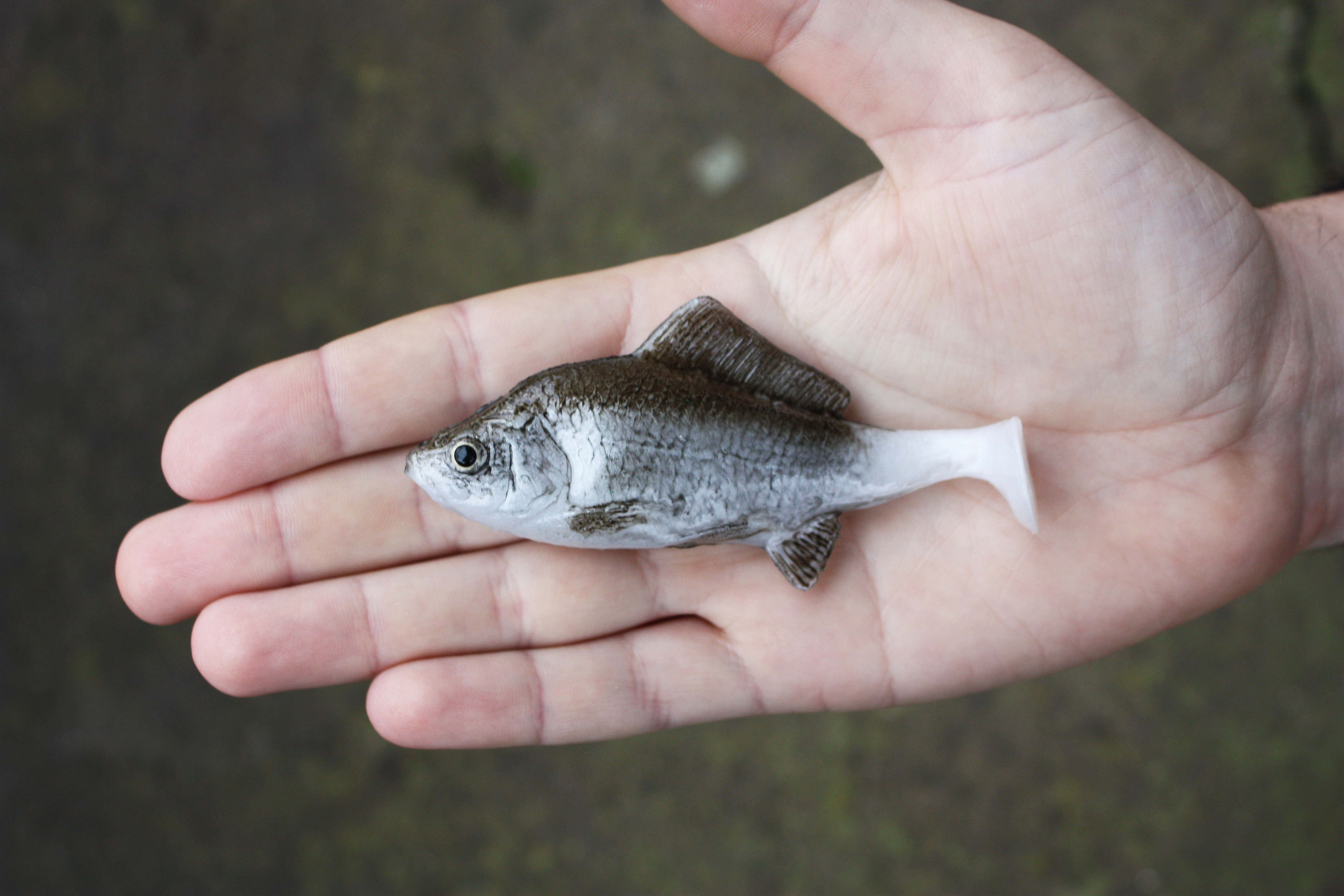 A&S Real Caras 4 (100мм)