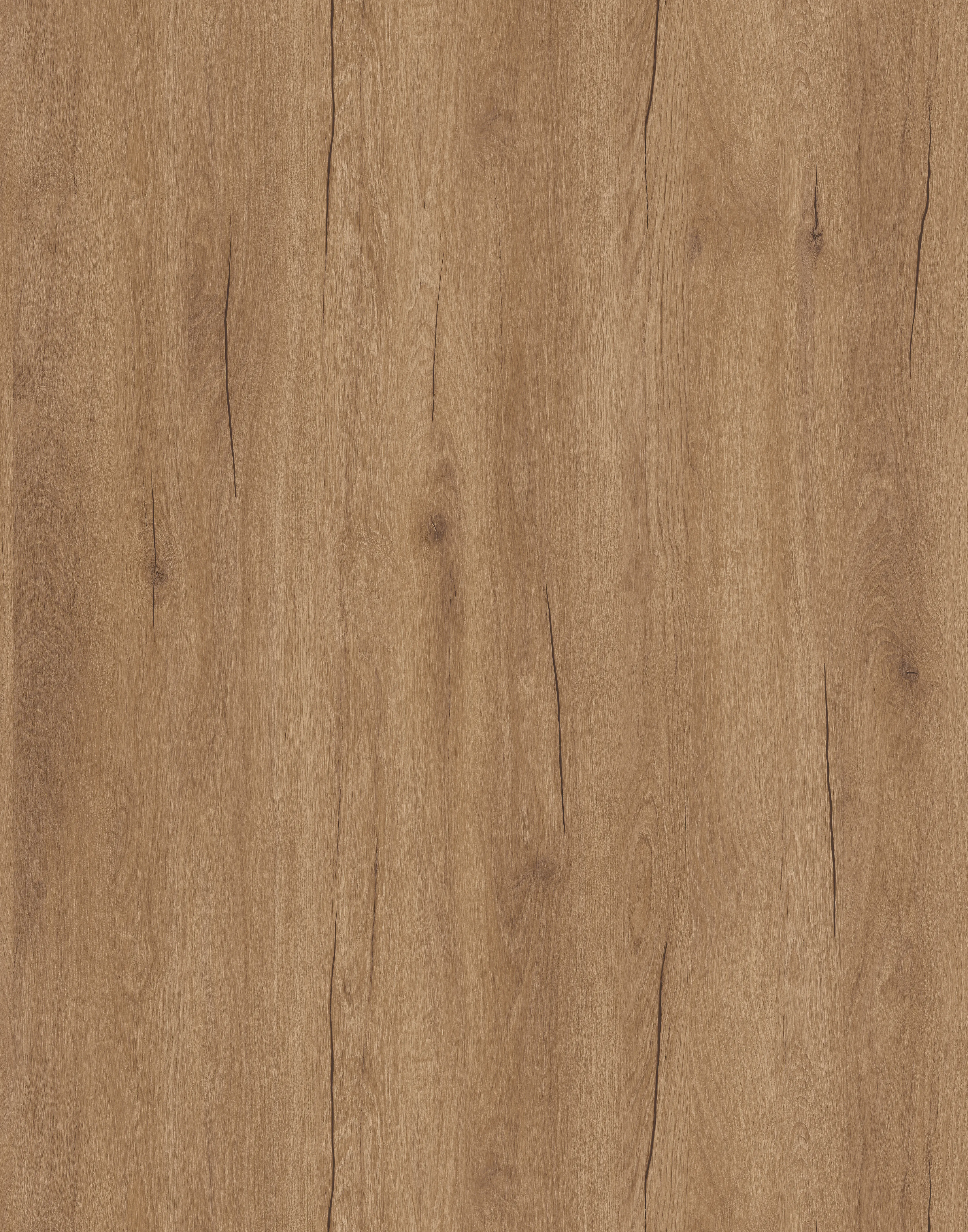 Дуб Хадсон Золотий