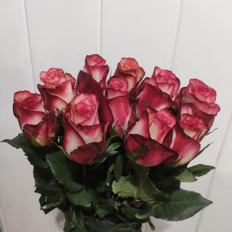 Спарк — Spark