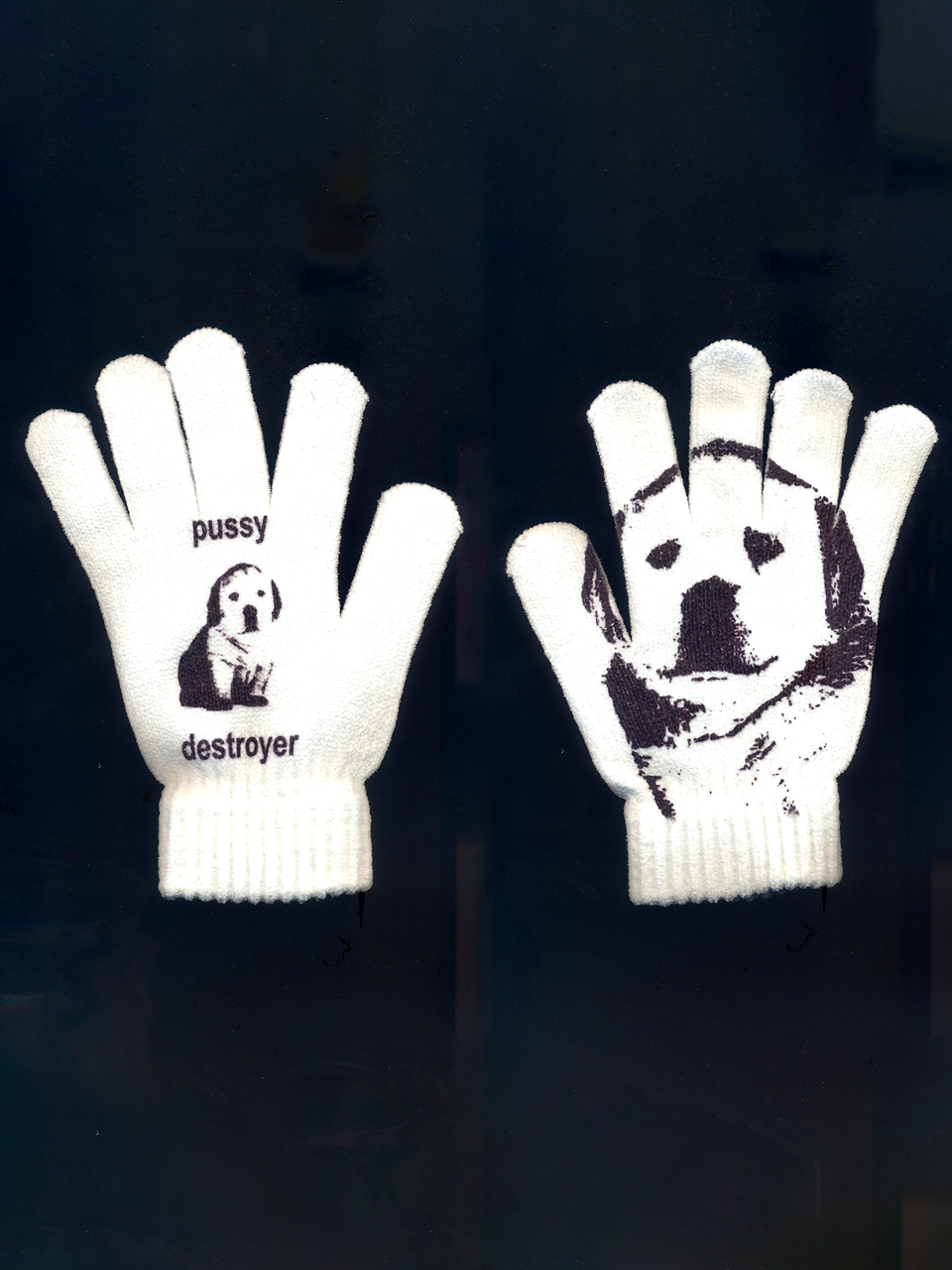 Рукавички "Пусі дестроєр"