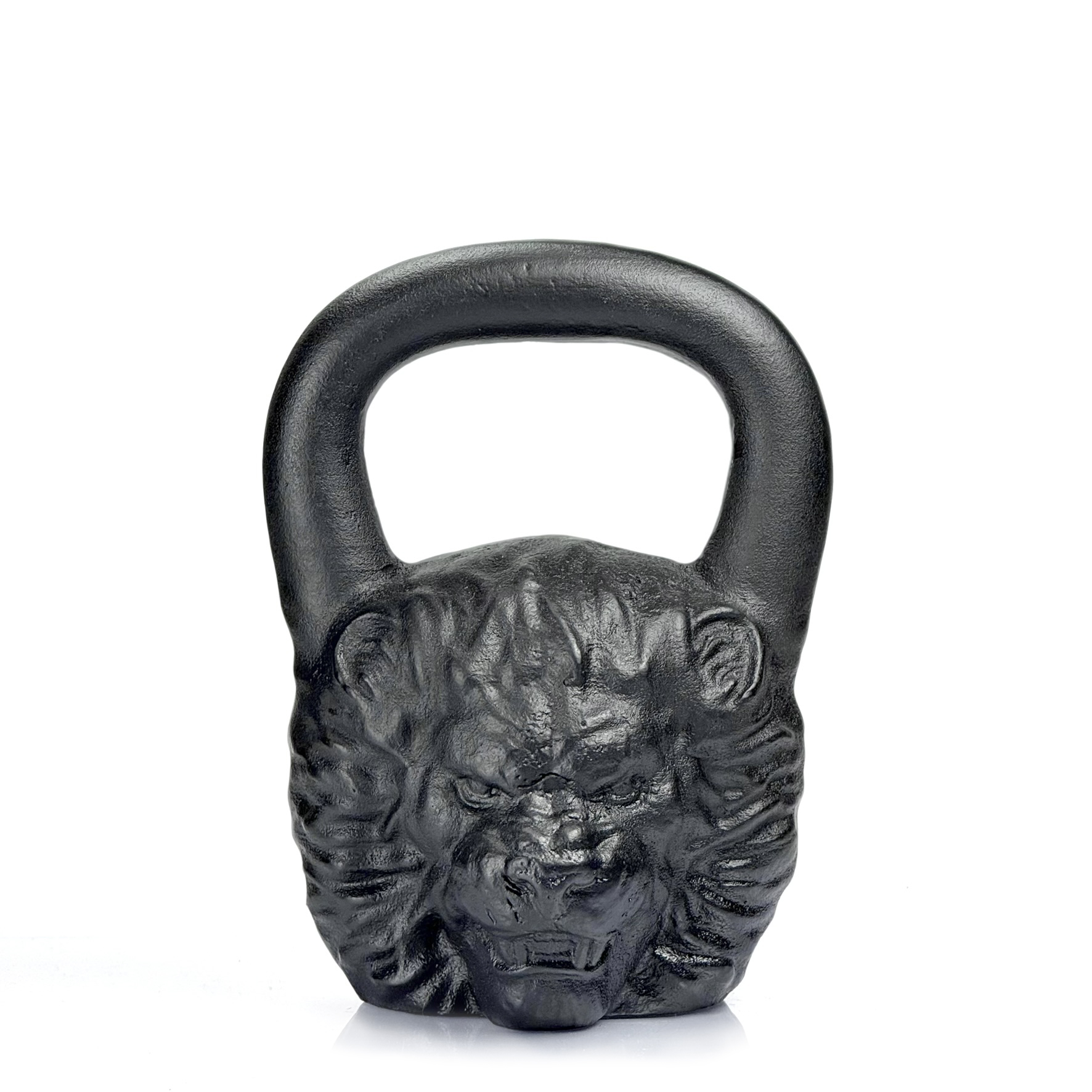 Lion 22 kg