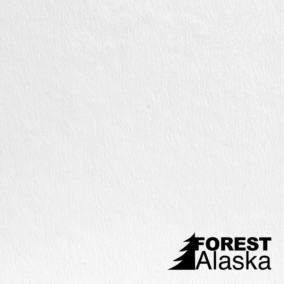 Стельова панель Isotex Forest Alaska 12 мм 1800×280