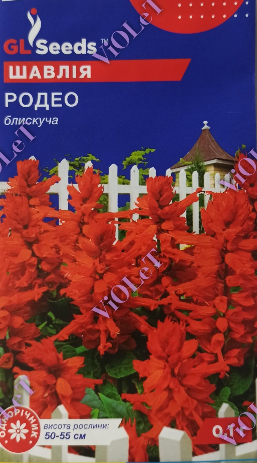 Шавлія (Сальвія) Родео блискуча, 0,1 г, GL Seeds