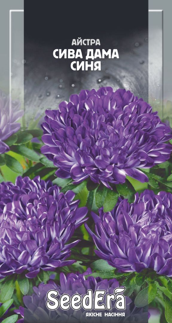 Насіння Квіти Айстра піонов. Сива Дама синя, 0,25 г (срібл-синя)