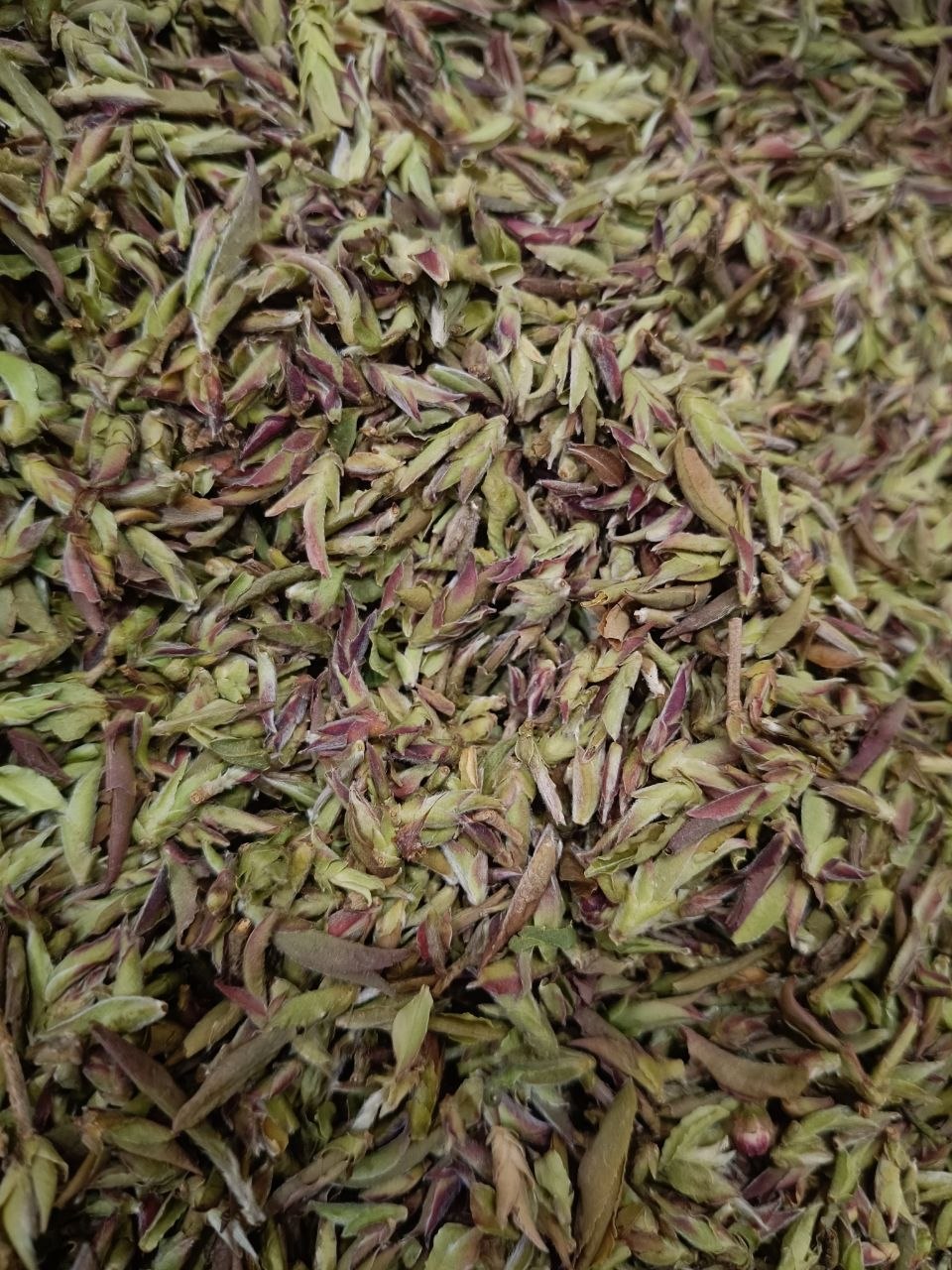 Ya Bao Bai Cha White Tea Buds (50 g)