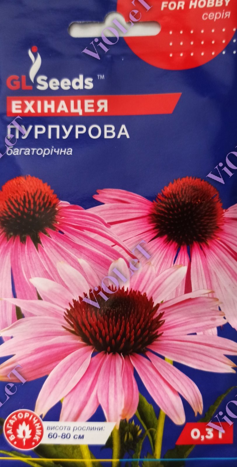 Ехінацея Пурпурова багаторічна, 0,3 г GL Seeds