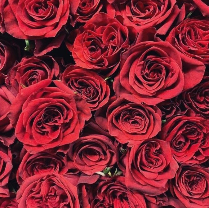 Чоко Раст (Chocco Rust)