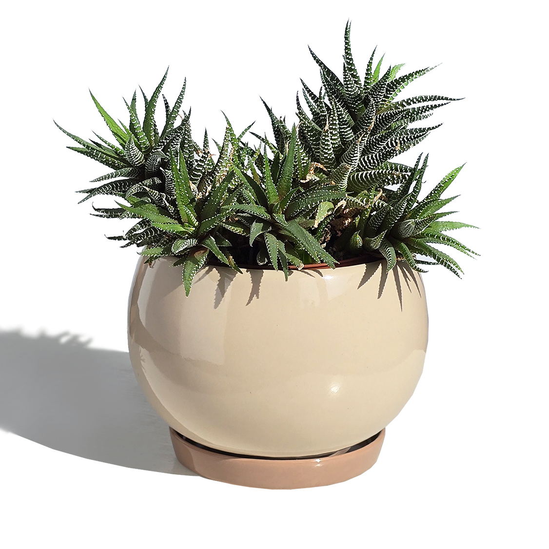 Горщик Куля 1 л Бежевий p010