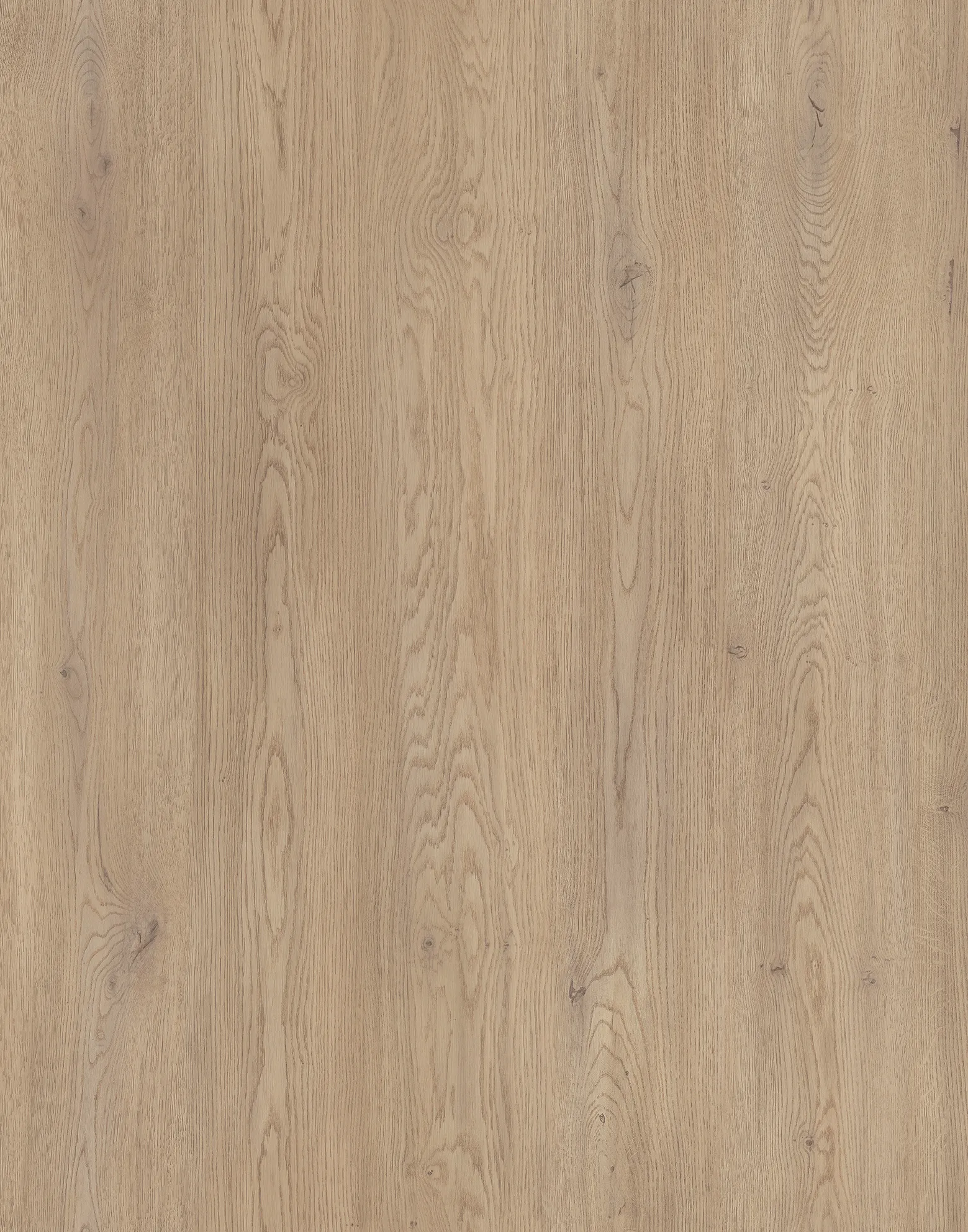 Дуб Кремона Котта