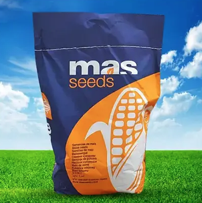 Насіння кукурудзи MAS 24.C Майсадур ФАО 260 Кукурудза високої врожайності