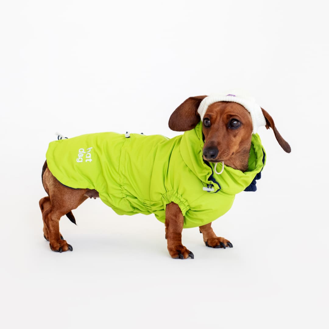 Вітровка для такс Hat-Dog неон