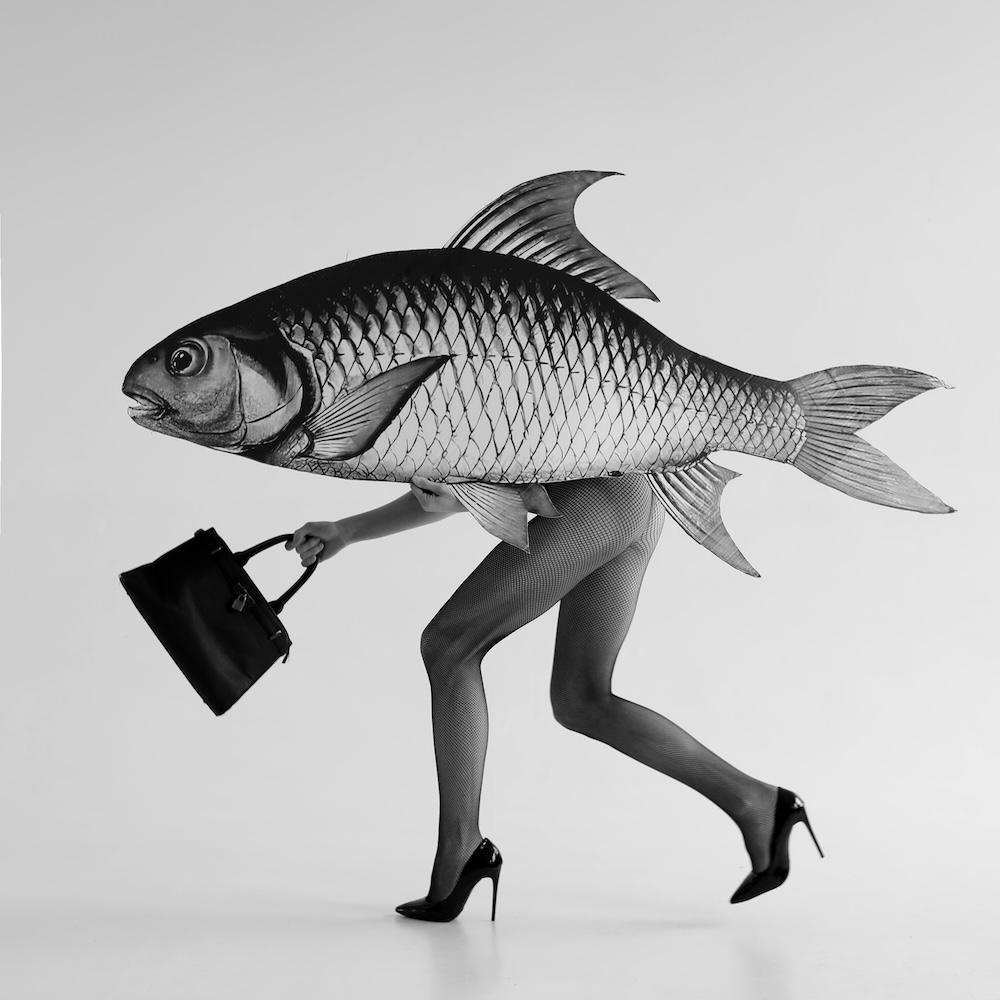 Liquid Assets