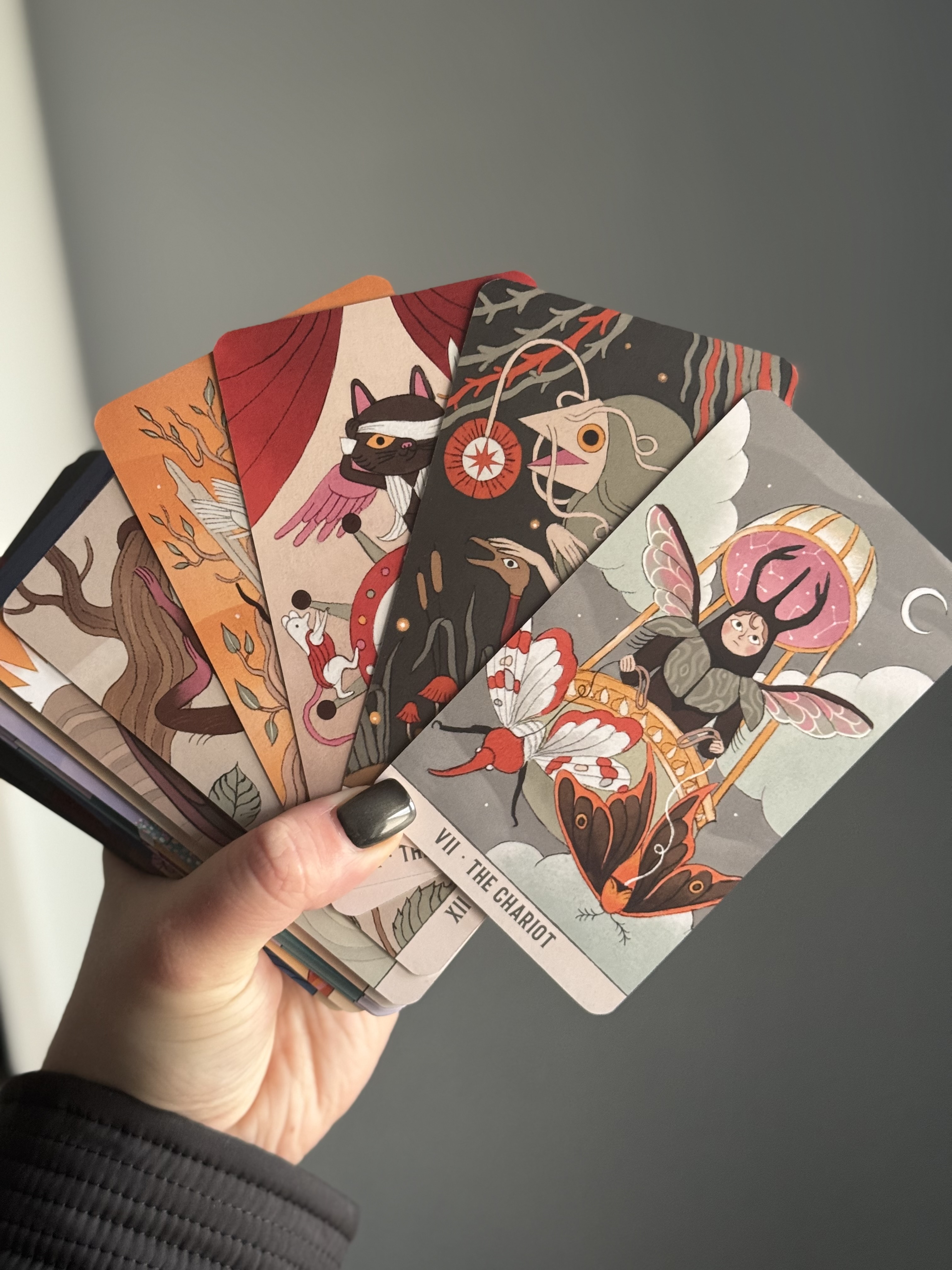 Оригінальна колода Таро «Злого місяця»