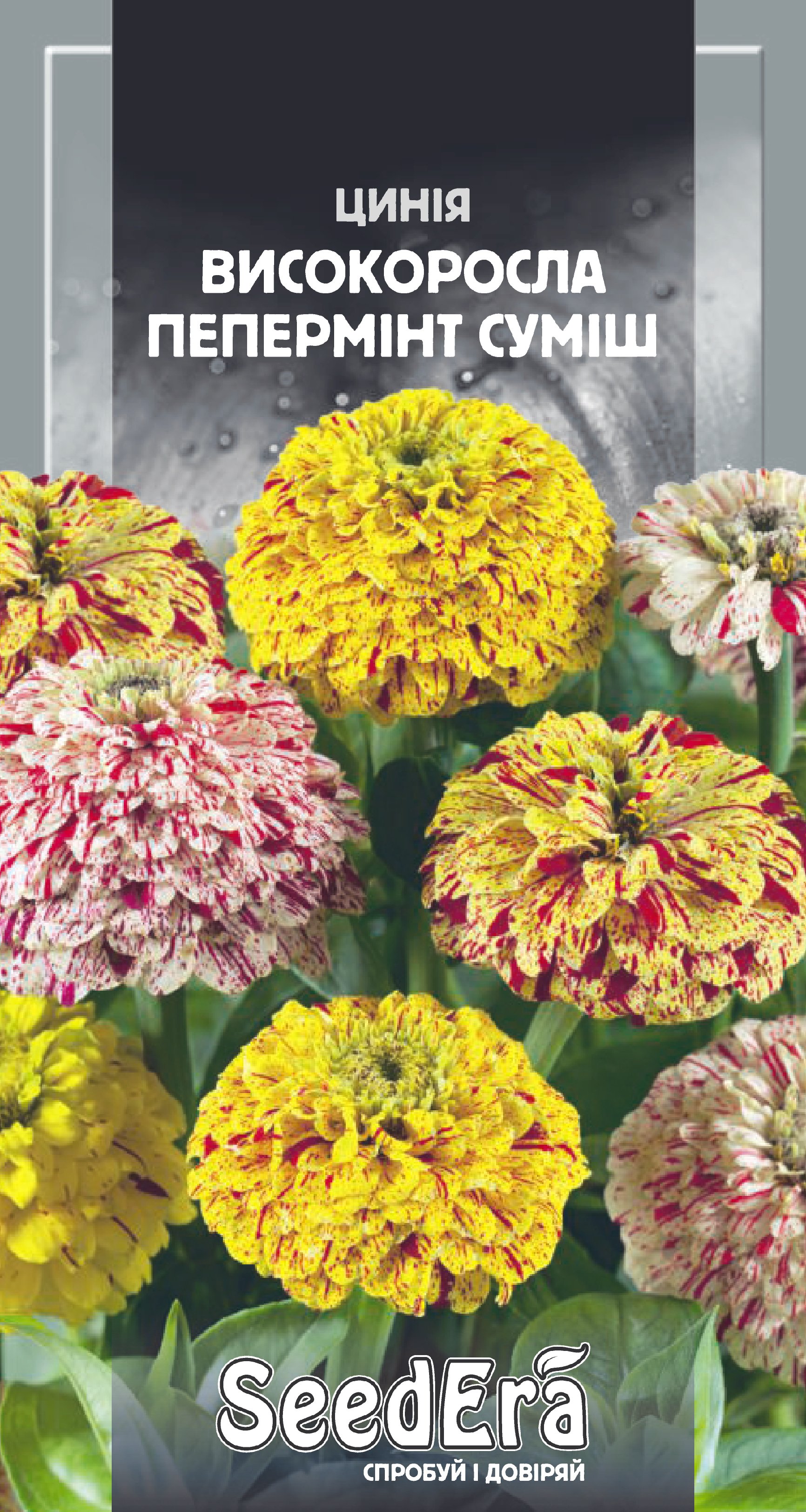 Насіння Квіти Цинія високоросла Пермінт суміш, 0,5 г