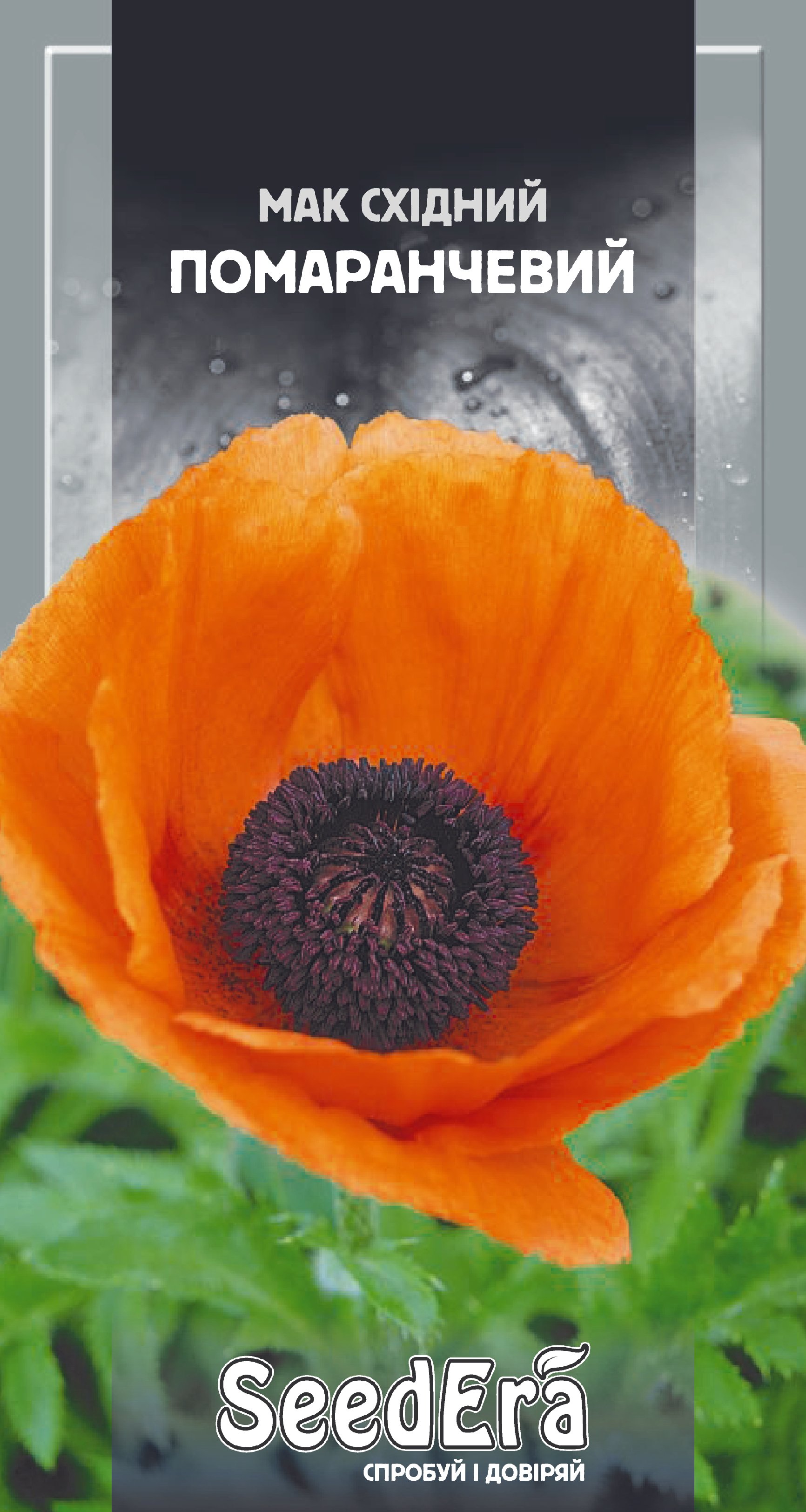 Насіння Квіти Мак східний помаранчевий багаторічний, 0,2 г