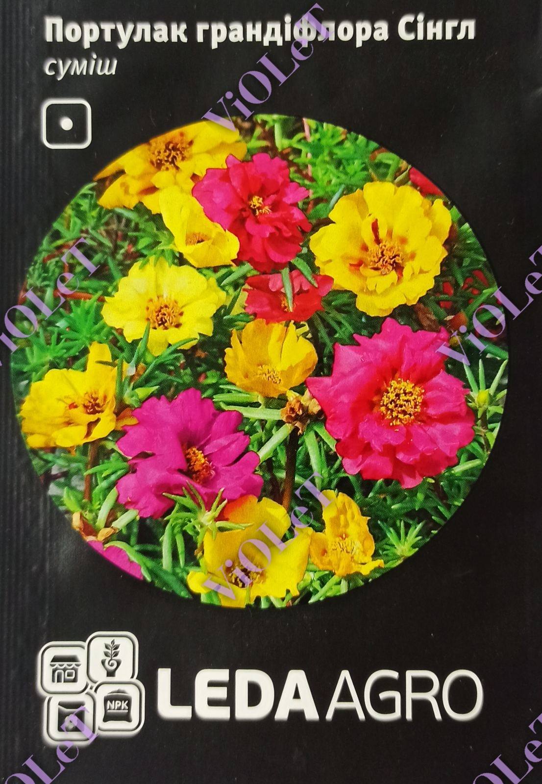 Сінгл,  суміш портулак грандіфлора 0,05 г, Leda Agro