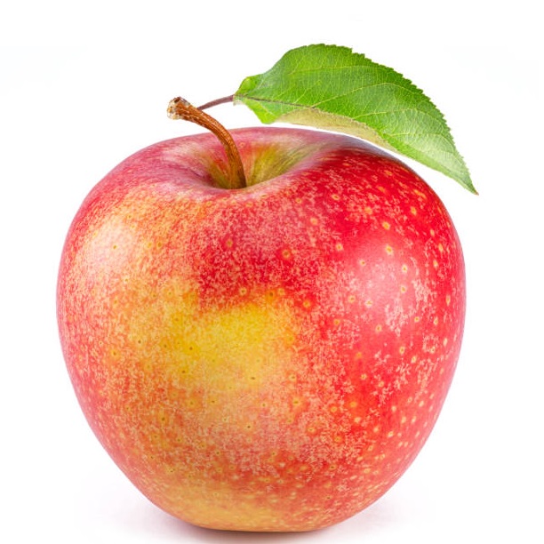 POMMES PILOT DALIREINE 1kg