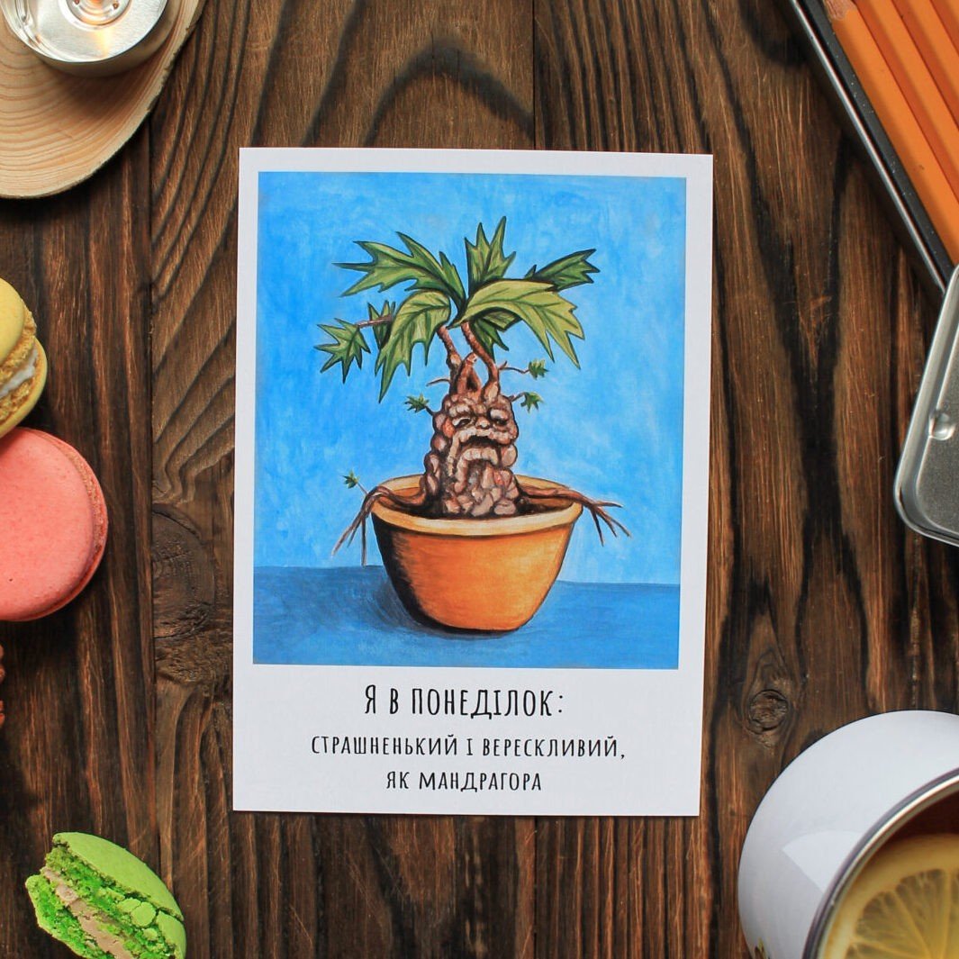 Листівка. Я в понеділок: Мандрагора
