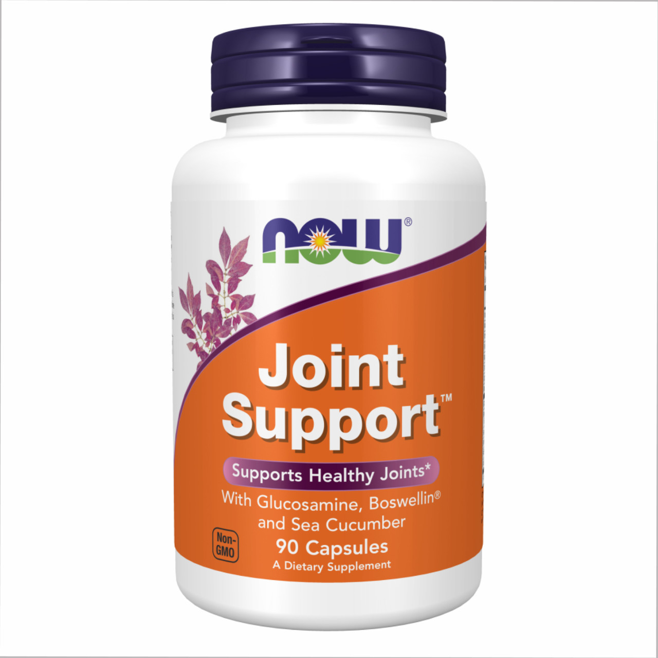 Хондропротектор для суглобів, Joint Support - 90 caps