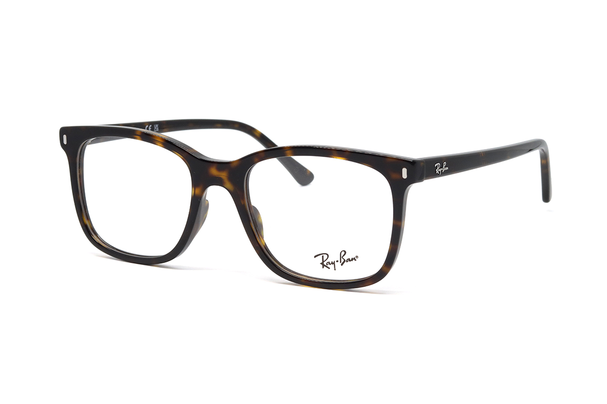 RAY BAN RX 5446 2012 53