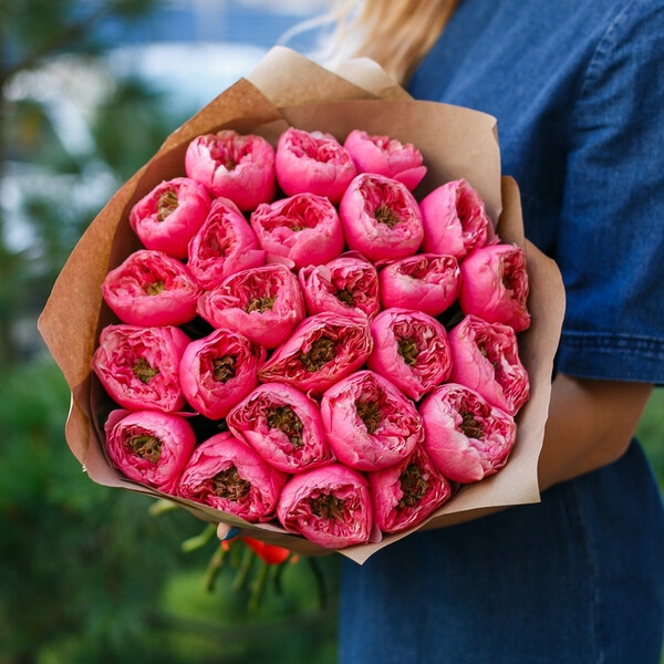 Пінк Вувузела — Cerise Vuvuzela (Pink Vuvuzela)