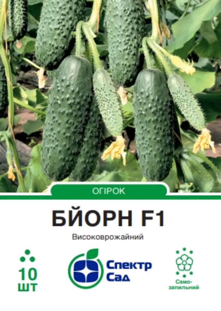 Огірок Бйорн F1, 10 шт