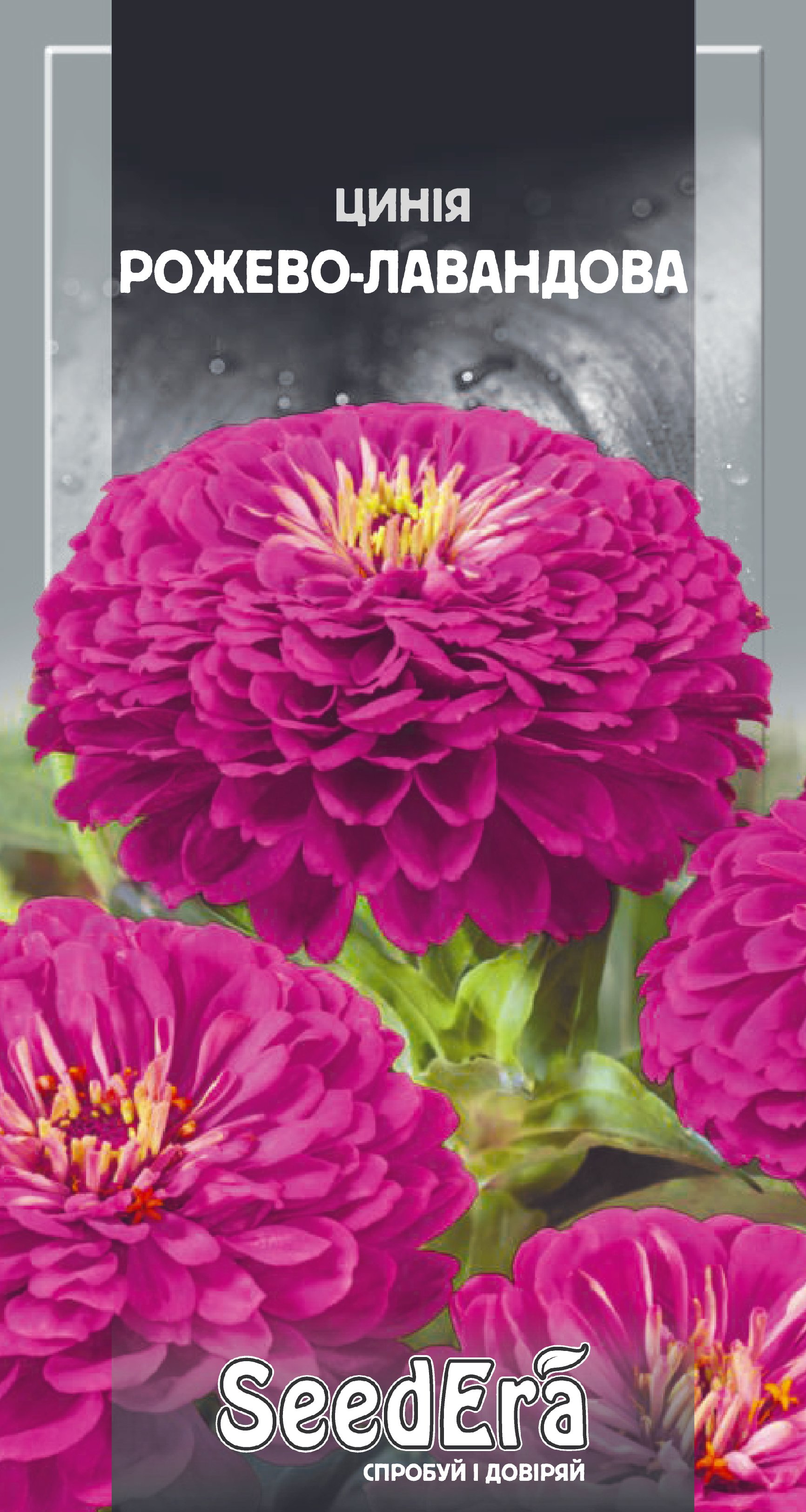 Насіння Квіти Цинія високоросла елегантна рожево-лаванд, 0,5 г