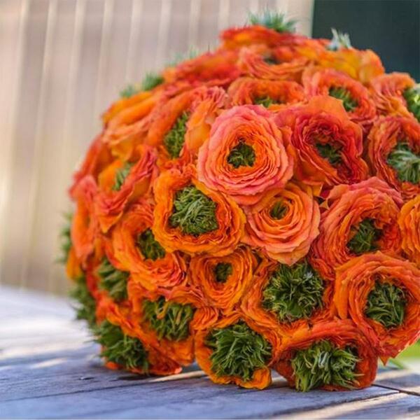 Грін Айленд Самоа — Green Island Samoa