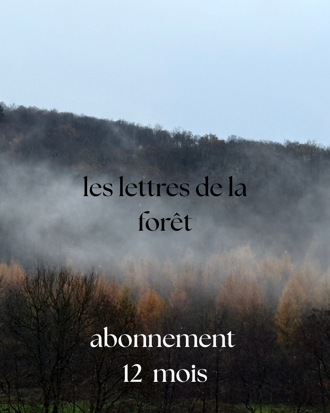 Les lettres de la forêt / Abonnement 1 AN