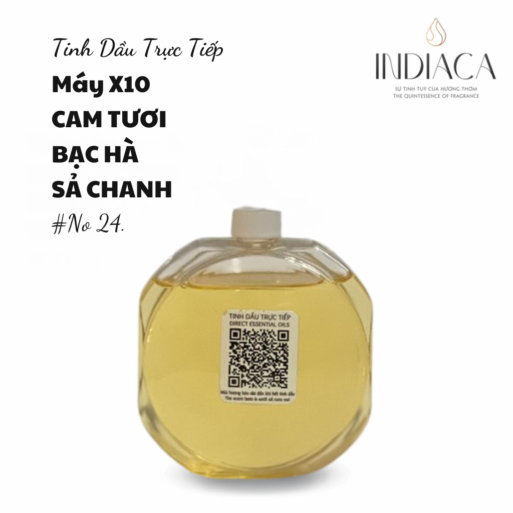 T.Dầu No 24 Xông Trực Tiếp👉Cho Máy X10🌿100 Gram _ Sự Hòa Quyện Hoàn Hảo Giữa Thanh Mát & Thư Giãn!