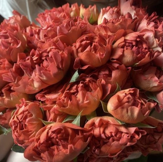 Хештег Янг (Hashtang Yung)