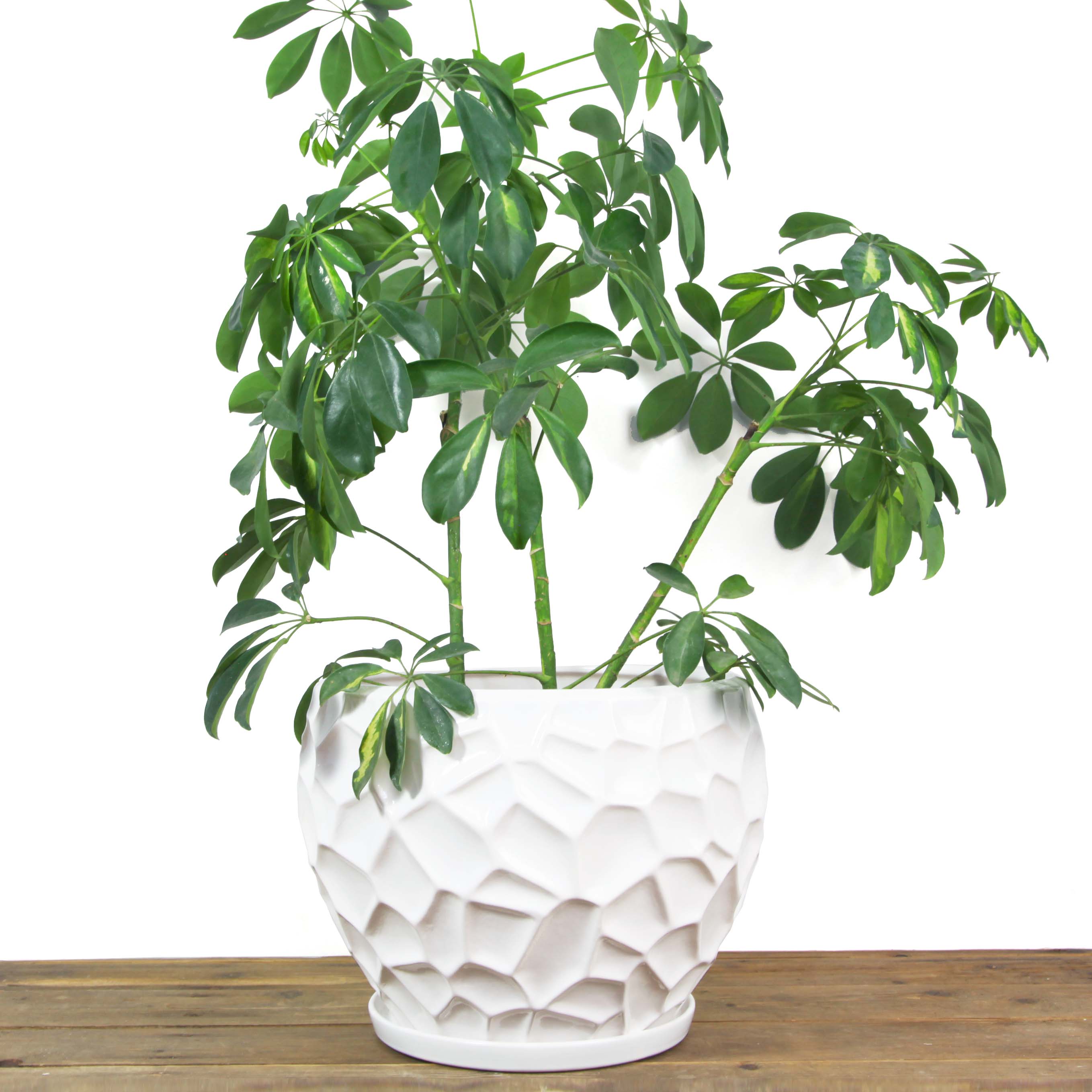 УЦІНКА Горщик керамічний Куля параметрична 10,5 л Rezon Білий P264