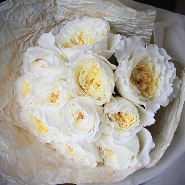 Пейшенс — Patience