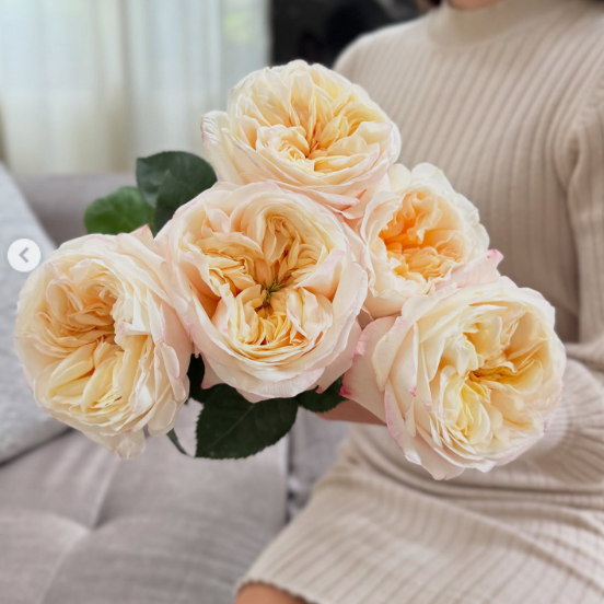 Fatima Gardens — Фатіма Ґарденс