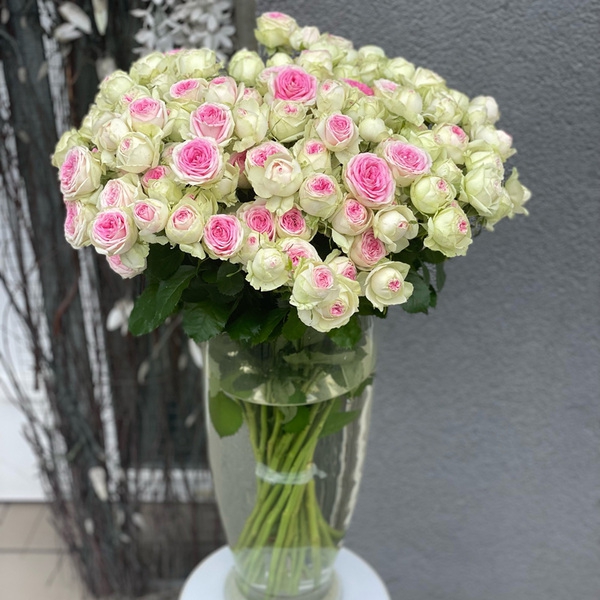 Джелато — Gelato