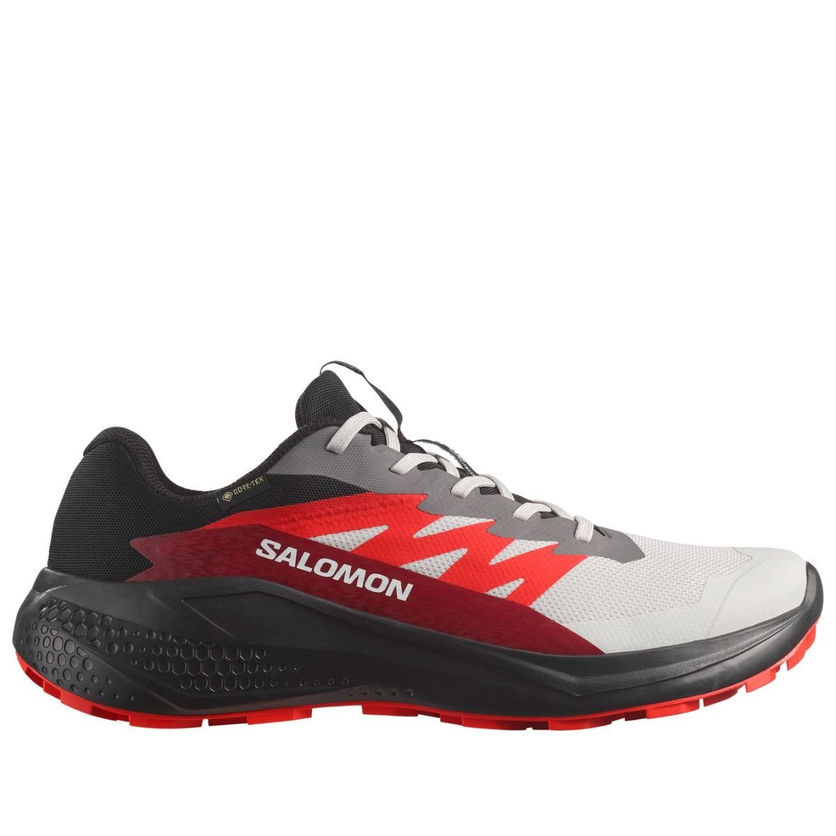 Чоловічі кросівки Salomon Alphaglide GTX 