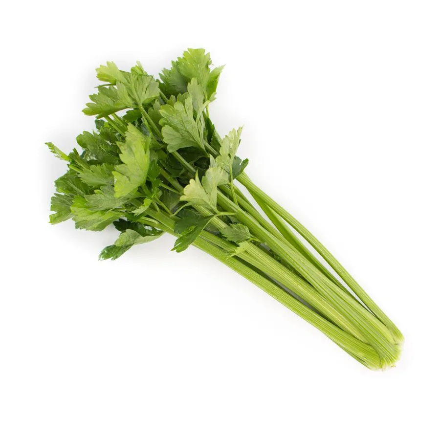 КЕЛВІН / KELVIN - Селера, Rijk Zwaan  10000 нас