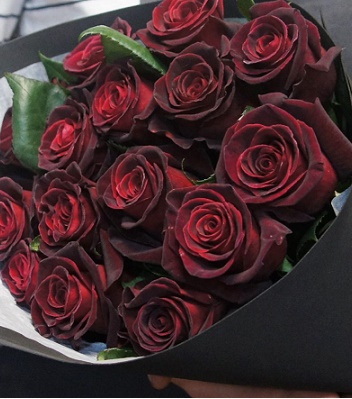 🌹 Троянда ч/г "Чорна Магія"