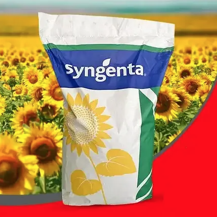 Насіння соняшнику Алькантара 150К Круїзер + Епівіо Енерджі, Гібриди Сингента