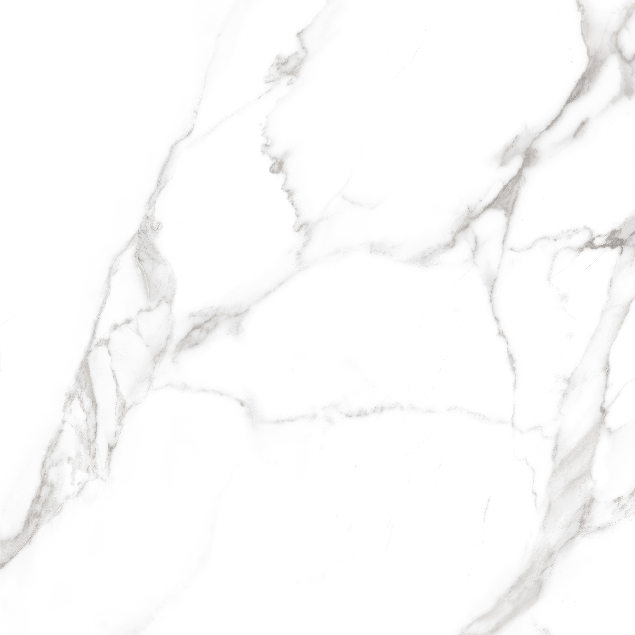 Carrara White (600x600x8 мм) MAT