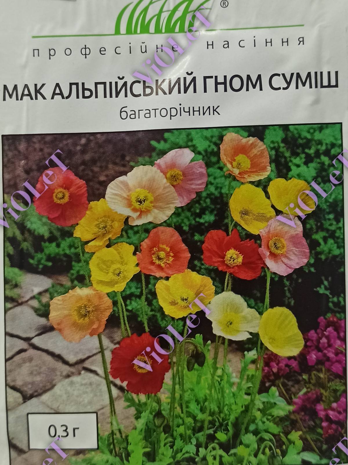 Мак альпійський гном суміш, 0,3 г Багаторічник Професійне насіння