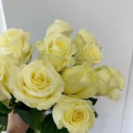 Анабель (Anabel)