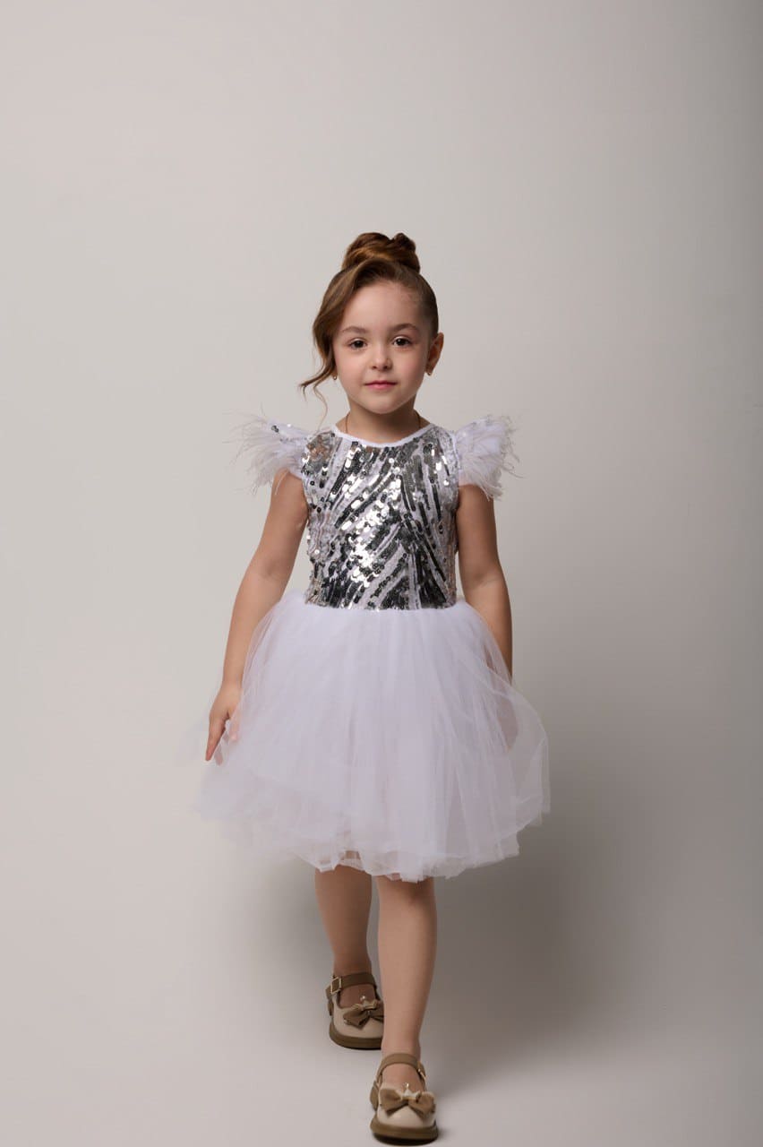 Silver Dress for Princess