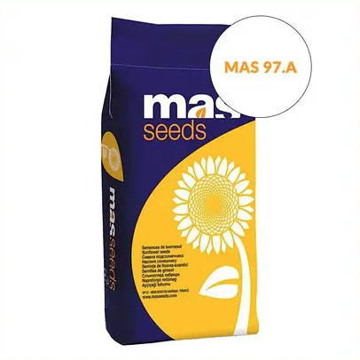 Насіння соняшнику MAS 97.А MAS Seeds, насіння високоврожайного соняшнику Мас сідс