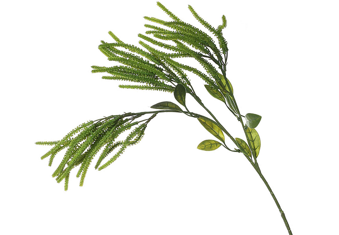 Гілка Амаранта