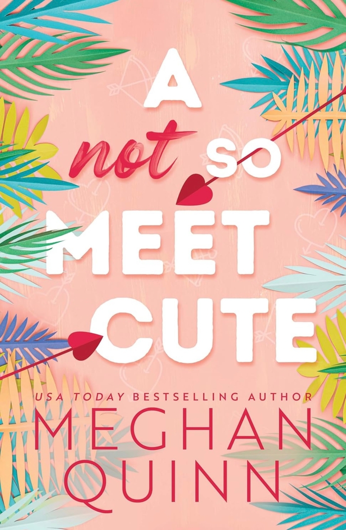 A Not So Meet Cute (Cane Brothers, 1) Meghan Quinn