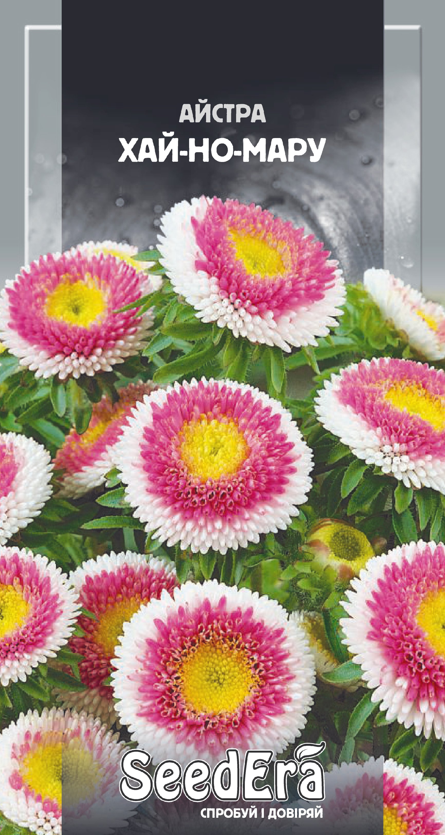 Насіння Квіти Айстра середньор. Хай-Но-Мару, 0,25 г (рожев з білим)