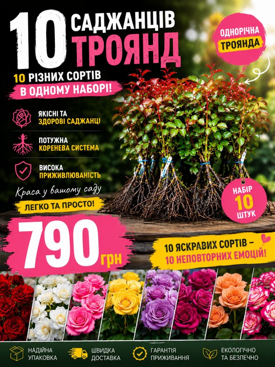 Набір  МІКС  з 10-ти Чайно Гібридних Троянд