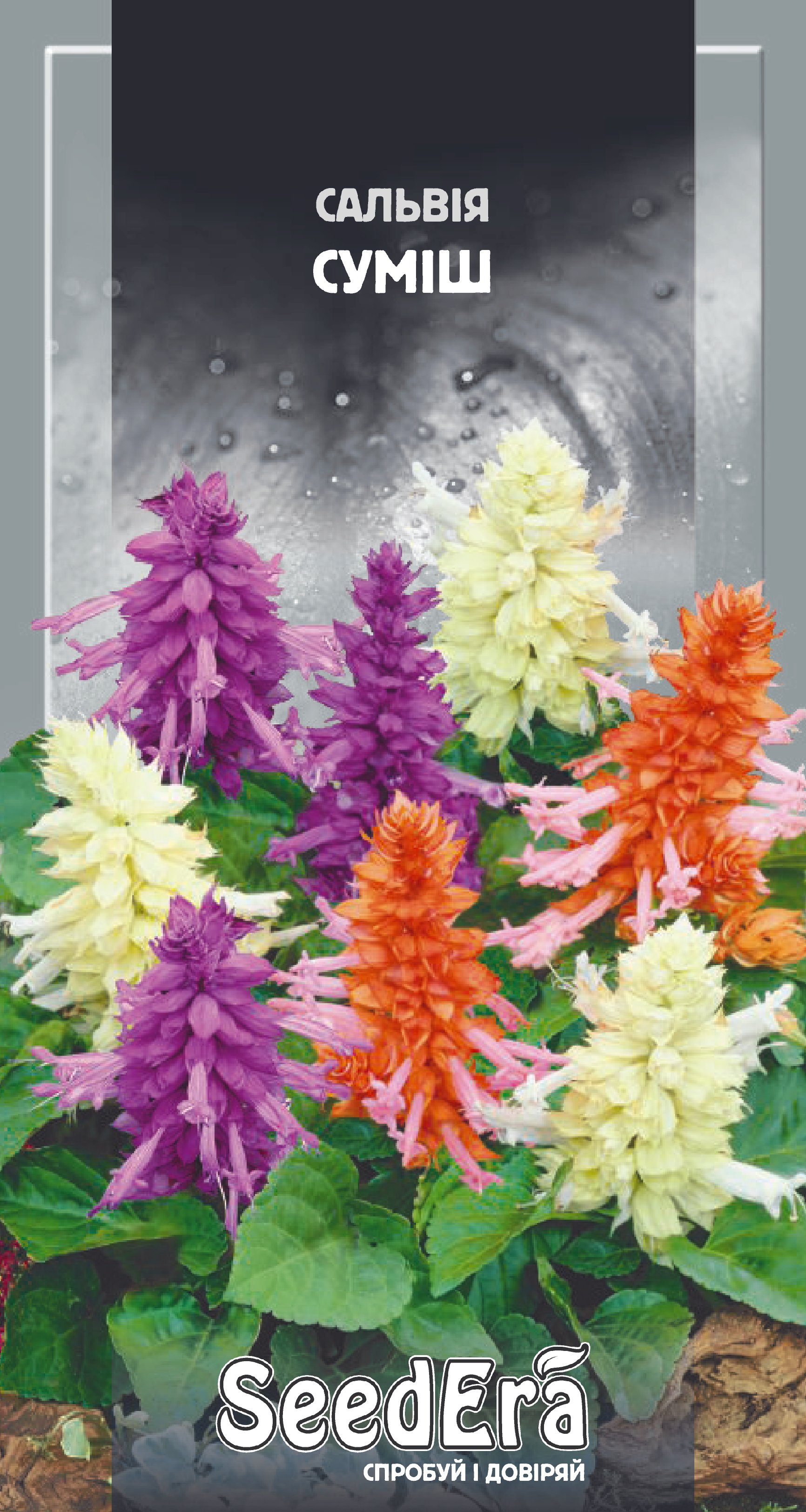 Насіння Квіти Сальвія блискуча суміш, 0,1 г